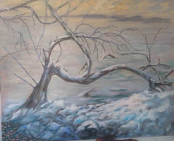 Vinter på Djurgården